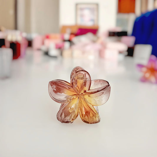 Moana Hair Claw Clip - Brown
